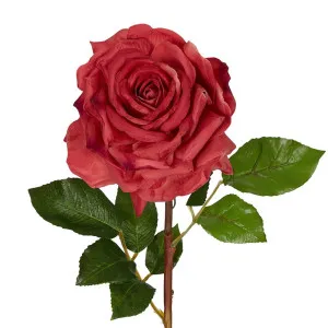 Stella Real Touch Rose Stem 50Cm Rouge by Florabelle Living, a Plants for sale on Style Sourcebook