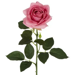 Belle Real Touch Rose Stem 65Cm Mauve by Florabelle Living, a Plants for sale on Style Sourcebook