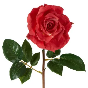 Rose True Touch Stem 50Cm Passion Pink by Florabelle Living, a Plants for sale on Style Sourcebook