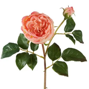 Cabbage Real Touch Rose Stem 49Cm Coral by Florabelle Living, a Plants for sale on Style Sourcebook
