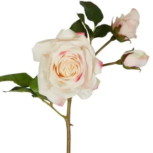Olivia Bud Real Touch Rose Stem 53Cm Soft Pink by Florabelle Living, a Plants for sale on Style Sourcebook