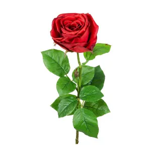 Cabbage Rose Real Touch 65Cm Red by Florabelle Living, a Plants for sale on Style Sourcebook