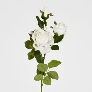 Real Touch Rose Spray 75Cm White by Florabelle Living, a Plants for sale on Style Sourcebook