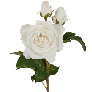 Olivia Bud Real Touch Rose Stem 53Cm White by Florabelle Living, a Plants for sale on Style Sourcebook