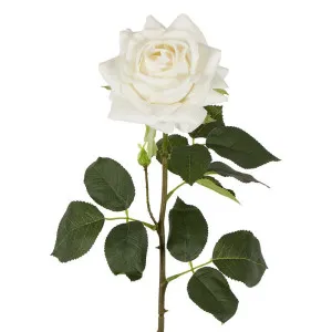 Belle Real Touch Rose Stem 65Cm White by Florabelle Living, a Plants for sale on Style Sourcebook