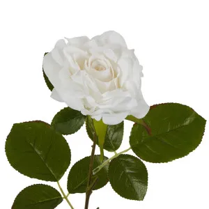 Eliza Soft Touch Rose 80Cm White by Florabelle Living, a Plants for sale on Style Sourcebook