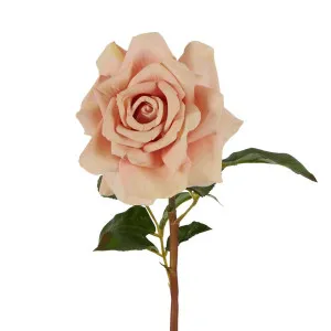 Rose True Touch 50Cm Blush by Florabelle Living, a Plants for sale on Style Sourcebook