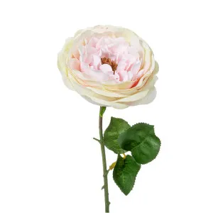 Rose Spray 46Cm Light Pink by Florabelle Living, a Plants for sale on Style Sourcebook