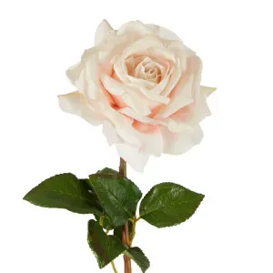 Stella Real Touch Rose Stem 50Cm Blush by Florabelle Living, a Plants for sale on Style Sourcebook