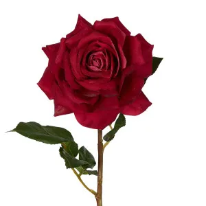 Stella Real Touch Rose Stem 50Cm Dark Pink by Florabelle Living, a Plants for sale on Style Sourcebook