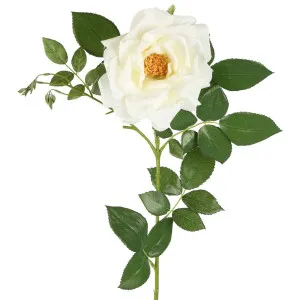 Chelsea Rose Stem 97Cm White by Florabelle Living, a Plants for sale on Style Sourcebook