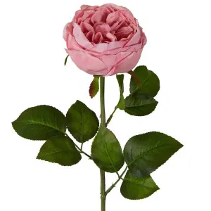 Real Touch Cabbage Rose 67Cm Pink by Florabelle Living, a Plants for sale on Style Sourcebook