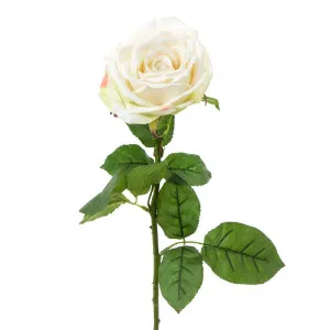 Cabbage Rose Real Touch 65Cm White by Florabelle Living, a Plants for sale on Style Sourcebook