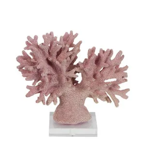 Malibu Coral On Stand Mauve by Florabelle Living, a Statues & Ornaments for sale on Style Sourcebook