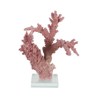 Florida Coral On Stand Mauve by Florabelle Living, a Statues & Ornaments for sale on Style Sourcebook