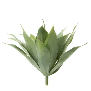 Agave Bush 41Cm W/19 Leaves Green by Florabelle Living, a Plants for sale on Style Sourcebook