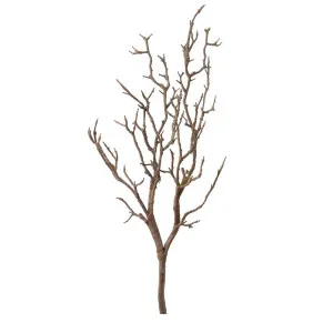 Branch Natural 1M by Florabelle Living, a Plants for sale on Style Sourcebook