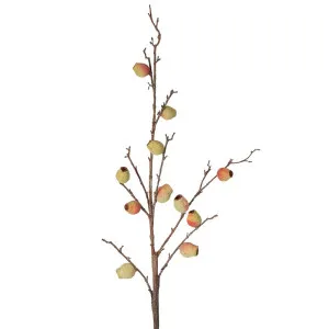 Fruit Berry Branch Stem Pink by Florabelle Living, a Plants for sale on Style Sourcebook