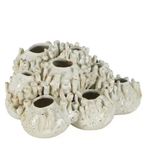 Tobago Coral Cluster Vase Sculpture White by Florabelle Living, a Vases & Jars for sale on Style Sourcebook