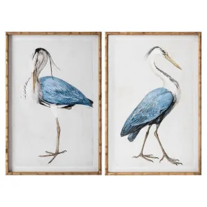 Trinity Beach Sea Birds Wall Art Set Of 2 by Florabelle Living, a Prints for sale on Style Sourcebook