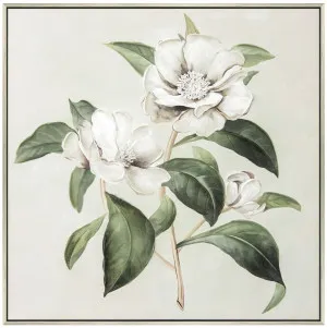 Grandiflora Wall Art 1 by Florabelle Living, a Prints for sale on Style Sourcebook