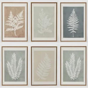 Ferns Wall Art Set 6 by Florabelle Living, a Prints for sale on Style Sourcebook