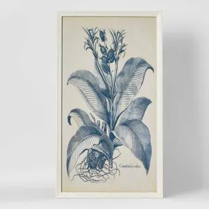 Blue Botanics Wall Art A by Florabelle Living, a Prints for sale on Style Sourcebook