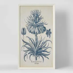 Blue Botanics Wall Art B by Florabelle Living, a Prints for sale on Style Sourcebook