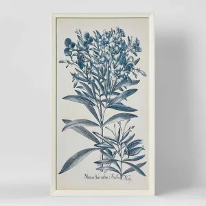 Blue Botanics Wall Art C by Florabelle Living, a Prints for sale on Style Sourcebook