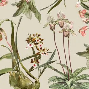 Orchid Kingdom Wallpaper by Florabelle Living, a Wallpaper for sale on Style Sourcebook