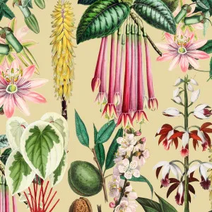 Southern Belle Wallpaper by Florabelle Living, a Wallpaper for sale on Style Sourcebook