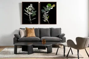 Haven Package by Packages, a Dining Sets for sale on Style Sourcebook