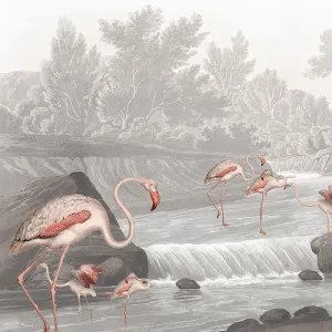 Flamingo Vlei Wallpaper by Florabelle Living, a Wallpaper for sale on Style Sourcebook