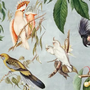 Birds And Fruit Wallpaper by Florabelle Living, a Wallpaper for sale on Style Sourcebook