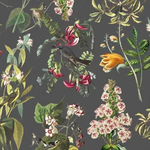 World Of Birds Wallpaper by Florabelle Living, a Wallpaper for sale on Style Sourcebook