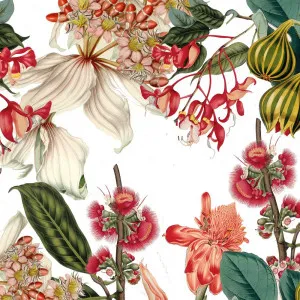Find Me In The Garden Wallpaper by Florabelle Living, a Wallpaper for sale on Style Sourcebook