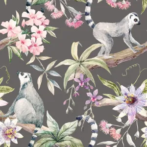 Lemurs And Hibiscus Dark Wallpaper by Florabelle Living, a Wallpaper for sale on Style Sourcebook