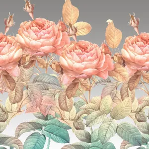 Rainbow Rose Wallpaper by Florabelle Living, a Wallpaper for sale on Style Sourcebook