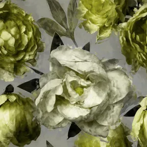 Licorice And Lime Wallpaper by Florabelle Living, a Wallpaper for sale on Style Sourcebook