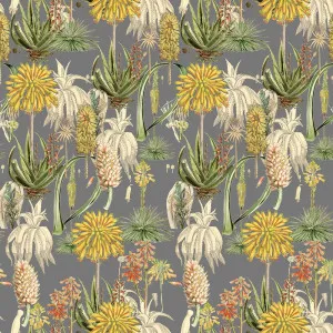 Aloe Aloe Wallpaper by Florabelle Living, a Wallpaper for sale on Style Sourcebook