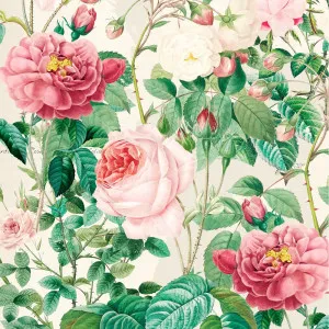 Bramble Bush Wallpaper by Florabelle Living, a Wallpaper for sale on Style Sourcebook