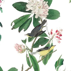 Bird Space Wallpaper by Florabelle Living, a Wallpaper for sale on Style Sourcebook