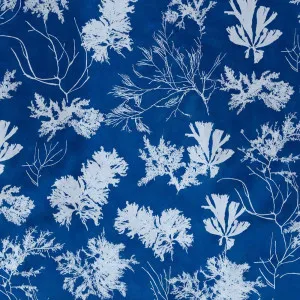 Cyanotype Wallpaper by Florabelle Living, a Wallpaper for sale on Style Sourcebook