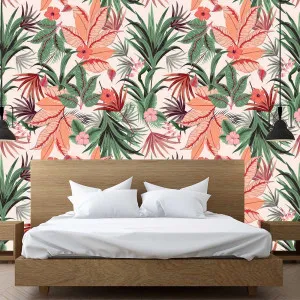 Air Plants Wallpaper by Florabelle Living, a Wallpaper for sale on Style Sourcebook