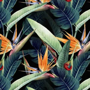 Birds Of Paradise Wallpaper by Florabelle Living, a Wallpaper for sale on Style Sourcebook