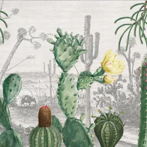 Cactus Heaven Wallpaper by Florabelle Living, a Wallpaper for sale on Style Sourcebook