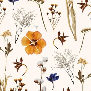 Dried Flowers Wallpaper by Florabelle Living, a Wallpaper for sale on Style Sourcebook