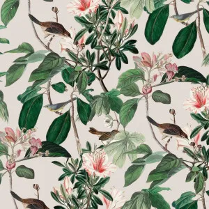 Last To Arrive Wallpaper by Florabelle Living, a Wallpaper for sale on Style Sourcebook