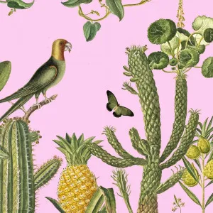Man Hunt Wallpaper by Florabelle Living, a Wallpaper for sale on Style Sourcebook