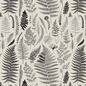 Nature Study Wallpaper by Florabelle Living, a Wallpaper for sale on Style Sourcebook